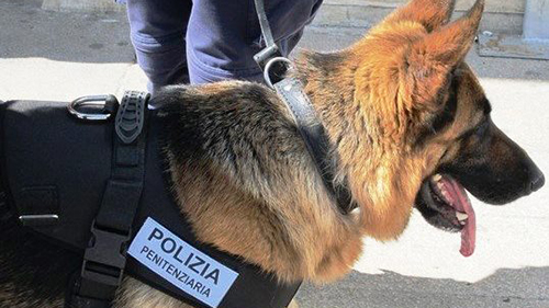 21 dicembre 2023 GDAP 0505674 7° corso per conduttori privi di cane. Inizio corso