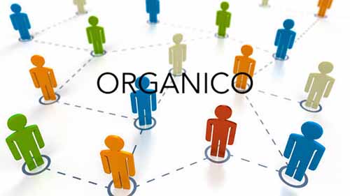 23 ottobre 2023 GDAP 0414863. D.M. 12 luglio 2023. Ripartizione della dotazione organica. Definizione delle piante organiche di sede.