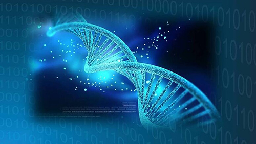 20 marzo 2024 GDAP 0124429 Laboratorio Centrale per la Banca dati nazionale del DNA – Creazione network di referenti regionali