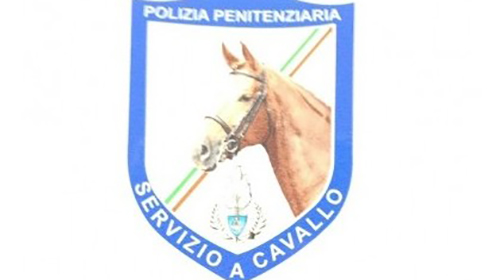 3 aprile 2025 GDAP 0151073 Bozza D.M. recante misure per la riorganizzazione delle strutture e delle funzioni del servizio a cavallo del Corpo